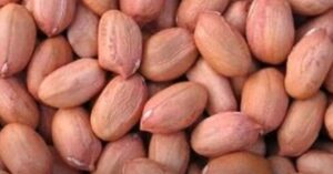 mungfali ki kheti 