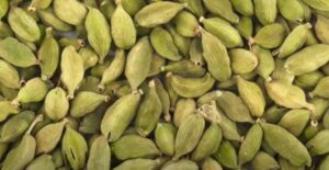 elaichi ki kheti