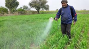 Gehu men kharpatwar niyantran 